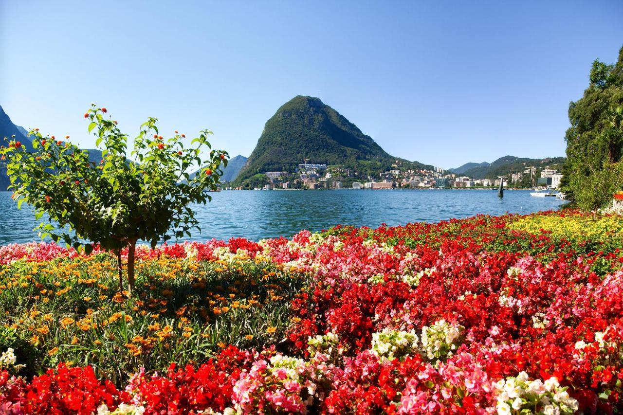 Piccola Grecia 8 Lugano Exterior foto